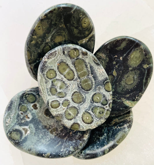 Kambaba Jasper Worry Stone Crystal-Gypsytear