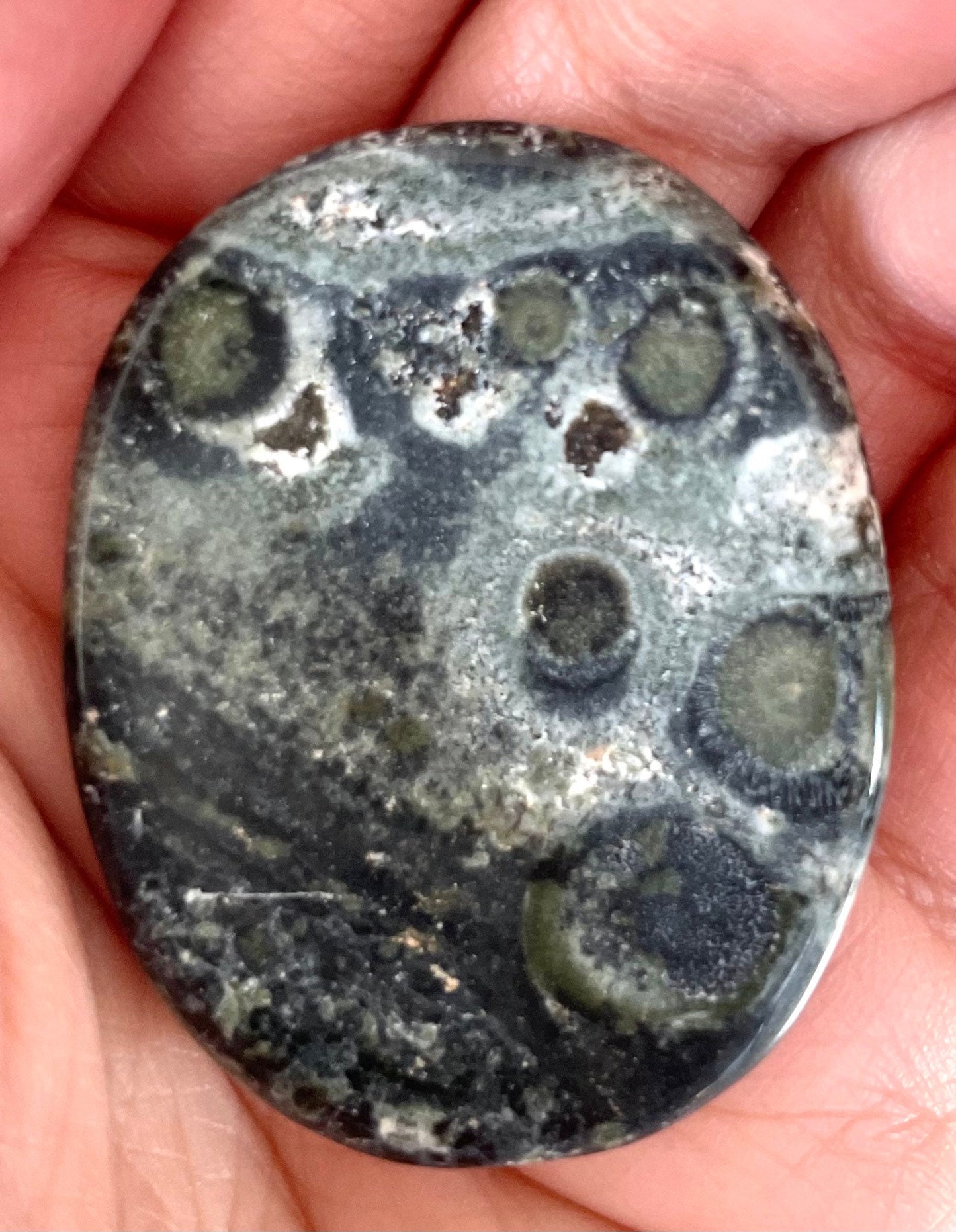 Kambaba Jasper Worry Stone Crystal-Gypsytear